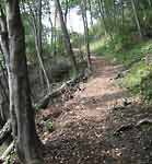 �����t�̍⓹