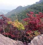 �g�t���n�܂�܂���